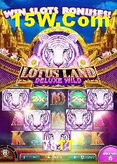 Estatísticas 78TT